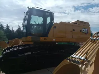 Cat 395 — Foto 3