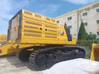 Cat 395 — Foto 4
