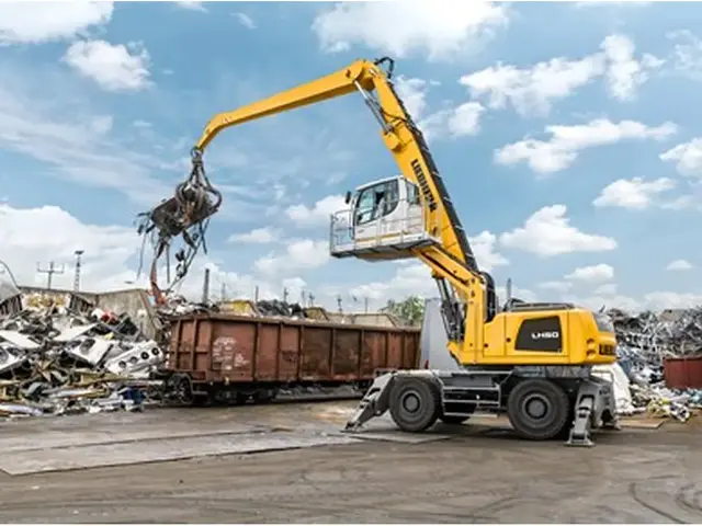 Liebherr LH 50M Litronic — Umschlagbagger — gebraucht kaufen | 123Machinery
