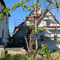 Layher Gerüst – Wohnhaus-Sanierung — Foto 3