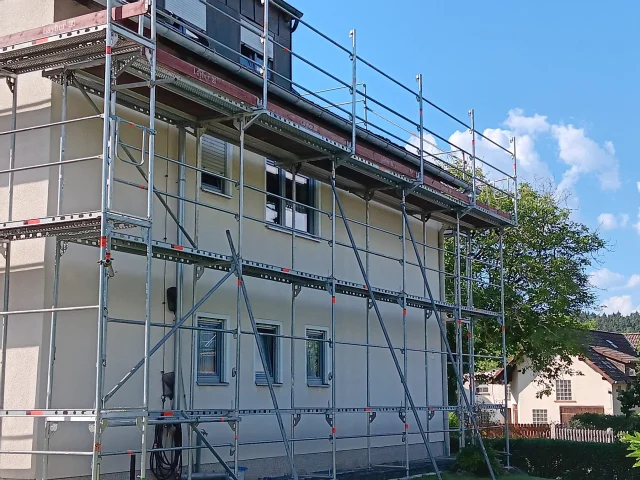 Layher Fassadengerüst für Wohn- & Mehrfamilienhäuser — Gerüste — gebraucht mieten | 123Machinery