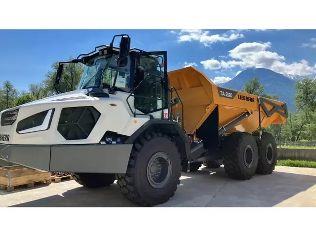 Liebherr TA 230 Litronic — Knickgelenkte Dumper — vorführgerät kaufen | 123Machinery