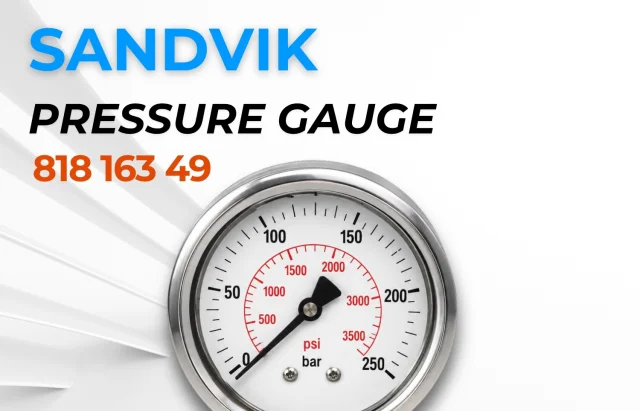 818 163 49 — Sensor | 123Machinery