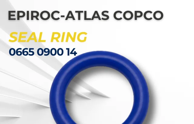 0665 0900 14 — Dichtungen | 123Machinery